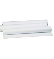 Bobine polyester indéchirable pour traceur jet d'encre  0.610X30m 110µ