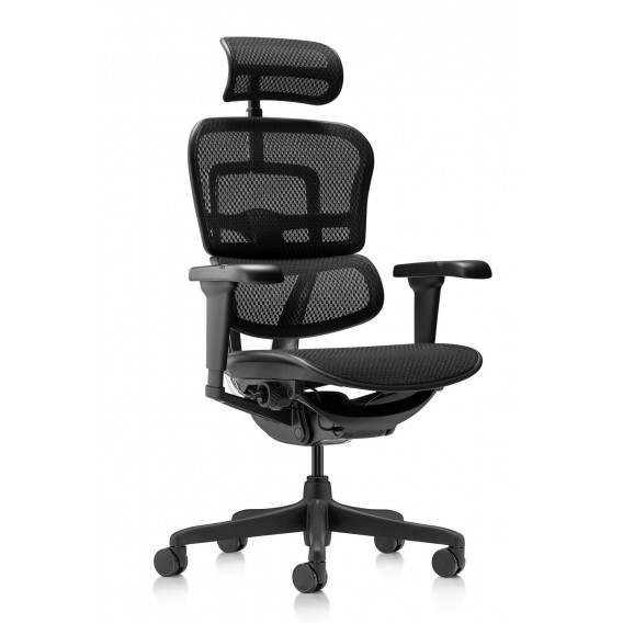 FAUTEUIL ERGONOMIQUE TECH ERGOHUMAN NOIR