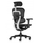 FAUTEUIL ERGONOMIQUE TECH ERGOHUMAN NOIR