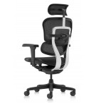 FAUTEUIL ERGONOMIQUE TECH ERGOHUMAN NOIR
