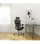 FAUTEUIL ERGONOMIQUE TECH ERGOHUMAN NOIR