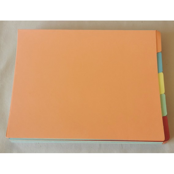 PAQUET DE 10x5 CHEMISES A ONGLETS