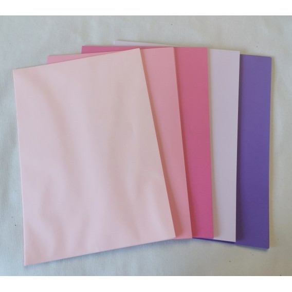 BOITE 100 FEUILLES PAPIER 80G DRAGEE (5 nuances de rose)  210x297mm A