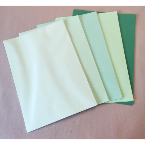 BOITE 100 FEUILLES PAPIER 80G APPLE (5 nuances de vert)  210x297mm A4