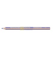 CRAYON STAEDTLER TRIANGLE JUMBO VIOLET - PAQUET DE 12