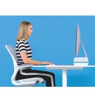 SUPPORT ECRAN  REGLABLE LEITZ ERGO WOW BLEU