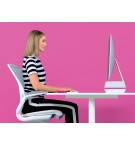 SUPPORT ECRAN  REGLABLE LEITZ ERGO WOW ROSE