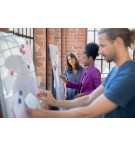 TABLEAU MOBILE MOVE & MEET COLLABORATION SYSTEM