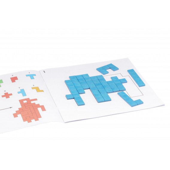 20 MODELES DE PENTOMINOS 30 X 30 CM