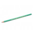 CRAYON GRAPHITE BIC EVOLUTION HB - BOITE DE 12