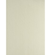 REL2771-couverture-a-relier-veine-cuir-240g-ivoire-a4---paquet-de-100