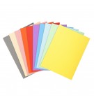 Paquet de 100 chemises Forever® 220 100% recyclé - 24x32cm Couleurs assorties