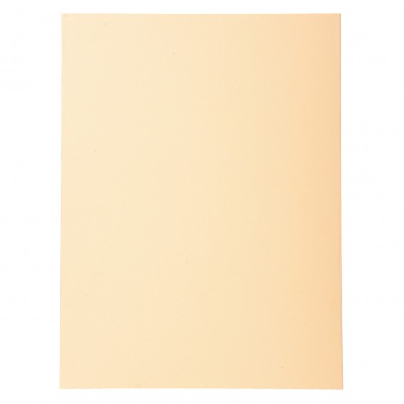 Paquet de 100 chemises Forever® 220 100% recyclé - 24x32cm Bulle