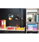 Boite de classement Exabox Dos 25mm Carte lustrée - A4 Noir