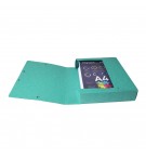 Boite de classement Exabox Dos 60mm Carte lustrée - A4 Vert