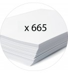 Classeur à levier PVC A4 dos de 70mm. Vert anis