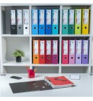 Classeur à levier Prem'Touch intérieur et extérieur en polypropylène - Dos 80mm - A4 maxi Vert foncé