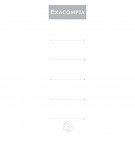 ETIQUETTES EN CARTON POUR CLASSEMENT DOS LARGE - SACHET DE 10