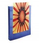 CLASSEURS PERSONNALISABLES POLYPRO DOS 20mm - ASSORTIS - CARTON DE 5