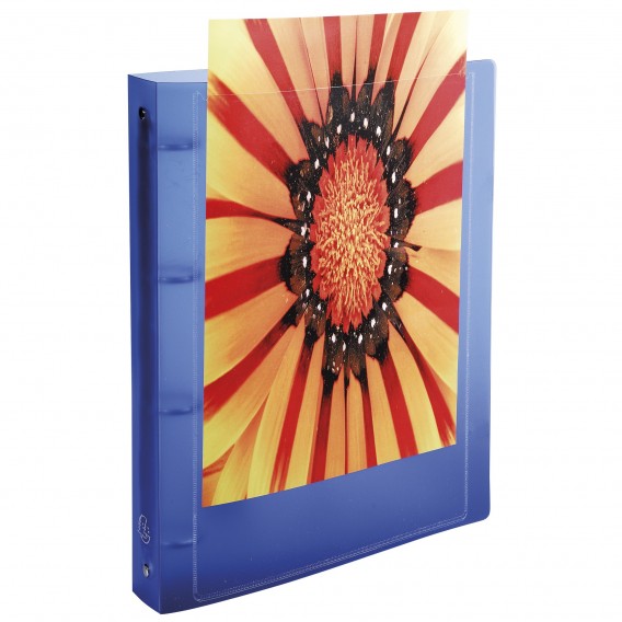 CLASSEURS PERSONNALISABLES POLYPRO DOS 20mm - ASSORTIS - CARTON DE 5