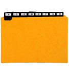 Paquet de 24 guides alphabétiques en carte à onglets métalliques, pour fiches 148x210mm Noir