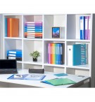 Protège-documents en polypropylène souple OPAK 100 vues - A4 Bleu clair