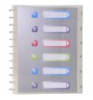 Protège-documents amovibles à anneaux polypropylène Crystal 60 vues - A4 Cristal