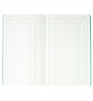 Piqûre 32x19,5cm recettes-dépenses 80 pages