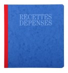 Piqûre 21x19cm recettes-dépenses 80 pages