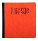 Piqûre 21x19cm recettes-dépenses 80 pages