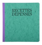 Piqûre 21x19cm recettes-dépenses 80 pages