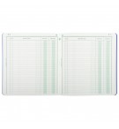 Piqûre 21x19cm recettes-dépenses 80 pages