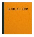 Piqûre 21x19cm échéancier tracé journal 80 pages