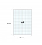 FICHES BRISTOL 210X297 COUL ASSORTIES 5X5 / PQT 100