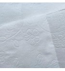 HYG12PH-papier-hygienique-en-paquet-de-12-rouleaux