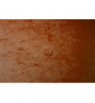 CHE106O-chemise-carte-lustree-a-elastiques-240x320mm---orange