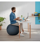 BALLON D'ASSISE ERGONOMIQUE GRIS