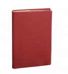 AGENDA SEMAINIER QUO VADIS MANAGER 21X27 CM