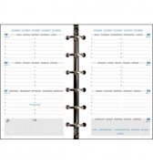 RECHARGE ORGANISEUR MILLESIME EXATIME 14