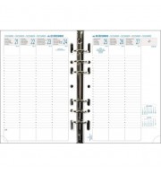 RECHARGE ORGANISEUR SEMAINIER MILLESIME EXATIME 21