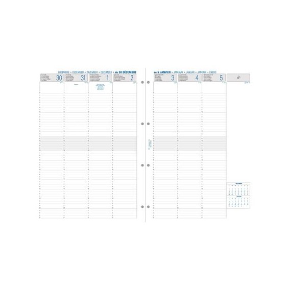 RECHARGE SEMAINIER ORGANISEUR MILLESIME EXATIME 29