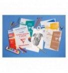 PAPIER DESSIN BLANC 240X320 224G / POCH 12F