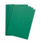 FEUILLE DESSIN A GRAIN 50X65 VERT FONCE 160G