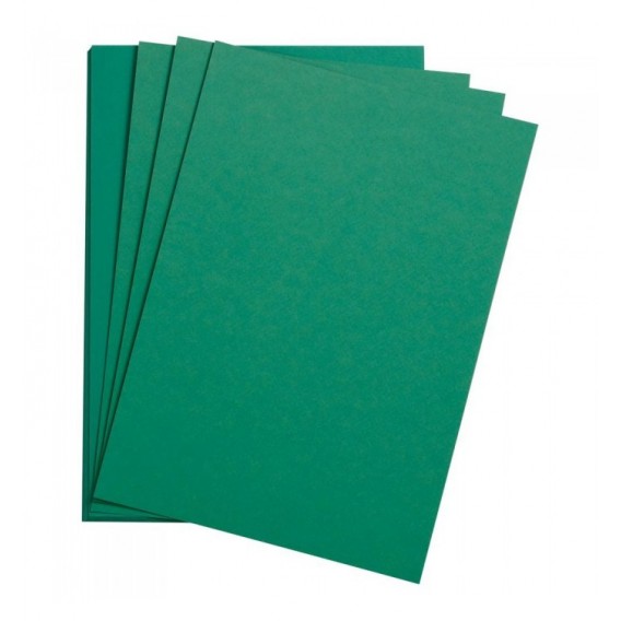 FEUILLE DESSIN A GRAIN 50X65 VERT FONCE 160G