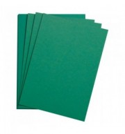 FEUILLE DESSIN A GRAIN 50X65 VERT FONCE 160G