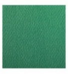FEUILLE DESSIN A GRAIN 50X65 VERT FONCE 160G