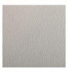 FEUILLE DESSIN A GRAIN 50X65 GRIS CLAIR 160G