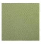 FEUILLE DESSIN A GRAIN 50X65 VERT AMANDE 160G