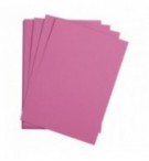 FEUILLE DESSIN A GRAIN 50X65 VIOLET 160G