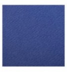 FEUILLE DESSIN A GRAIN 50X65 OUTREMER 160G